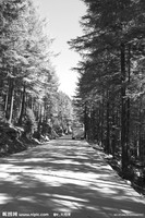 中國(guó)科學(xué)報(bào)：“亢奮”的校車