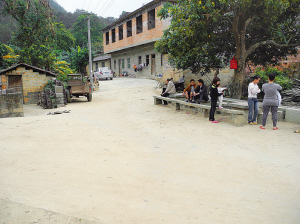 事故發(fā)生在大樹旁邊的下車點，這里離平平的家只有二三十米。