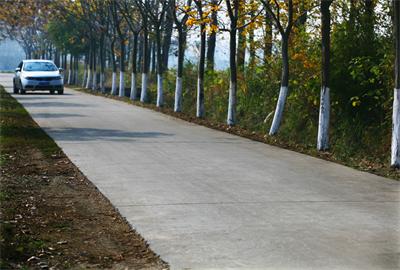 改善校車行駛路況，江蘇高郵實施農村公路提檔升級工程