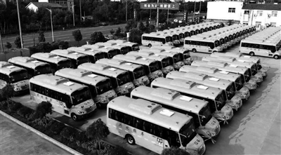 興化一口氣采購258輛“大鼻子”校車