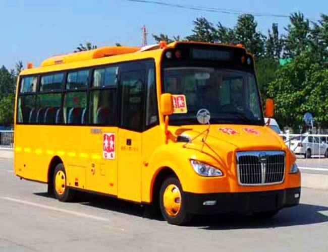 2020年四川省校車安全管理條例/ 2020年四川省校車安全管理條例