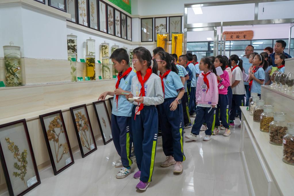“雙減”后，一輛校車的“田野”之旅