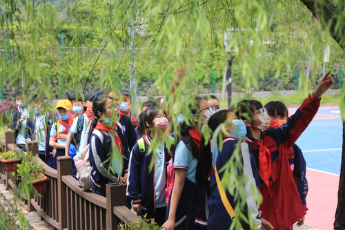 雙減下 諸暨這所學校開啟“神奇校車之旅”