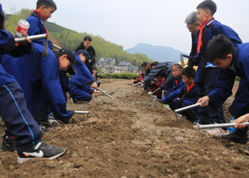 雙減下 諸暨這所學校開啟“神奇校車之旅”