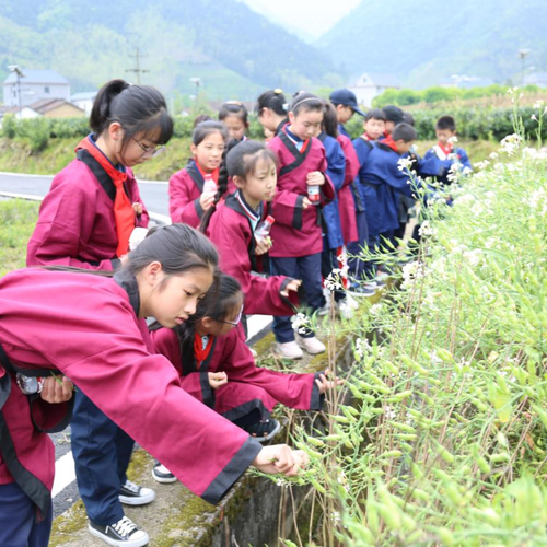 雙減下 諸暨這所學校開啟“神奇校車之旅”
