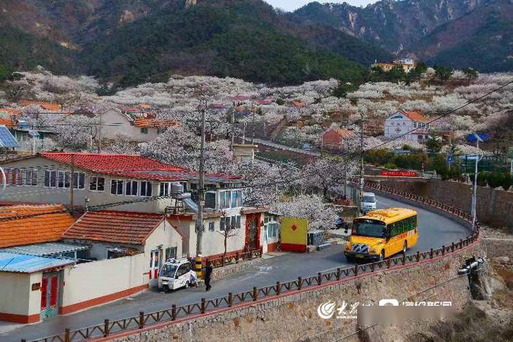 全國首個校車運營服務管理團體標準正式發(fā)布