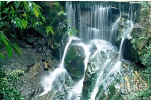 全國疫情慢慢退去，大量民辦幼兒園或迎來“至暗時刻”