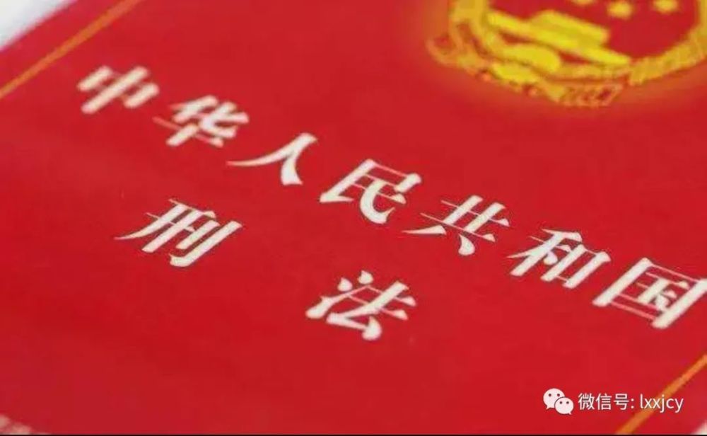 【以案釋法】“黑校車”嚴(yán)重超載 駕駛?cè)吮黄鹪V判刑