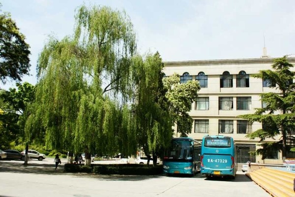 蘭大微變化 | 這些校車安全細節你一定要知道