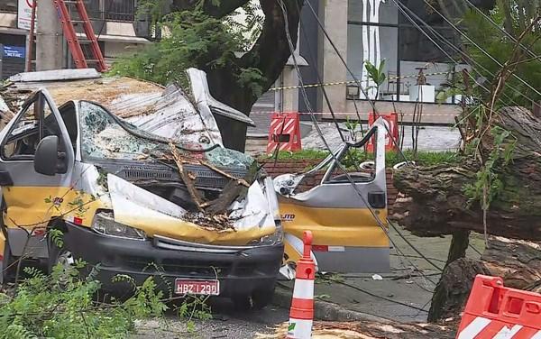 米納斯一校車被樹砸中 司機死前叫喊救孩子