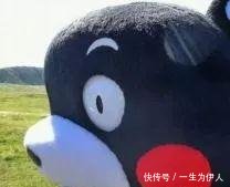 專車接送！咱肥東這38所學校已經開通校車啦，有你家附近的嗎？