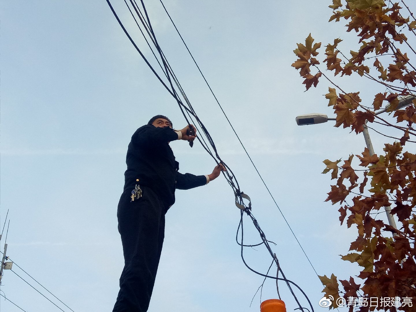 嶗山現(xiàn)“最美托舉”！校車駕駛員高空托舉高壓線1小時