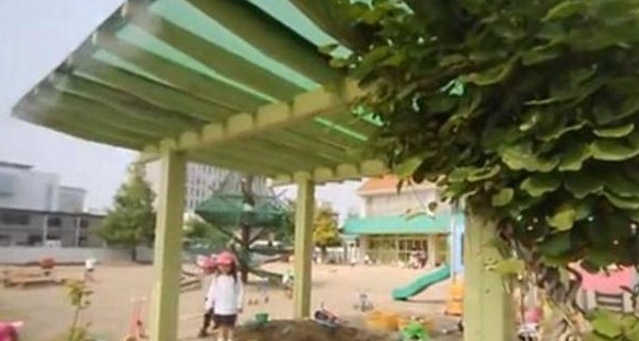 日本幼兒園的一日生活：每天校車接送，兩次戶外活動，無午睡時間