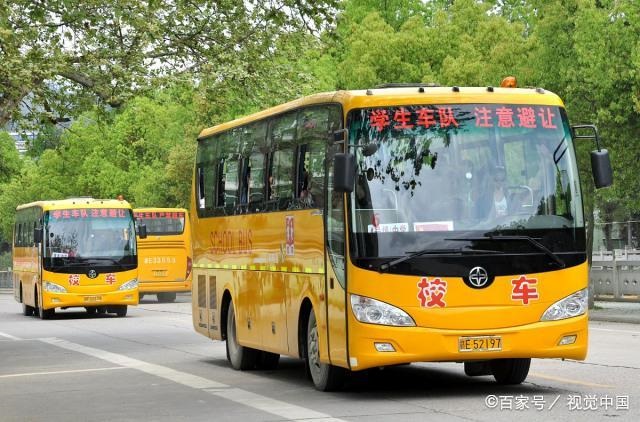 專用校車安全有序 數(shù)量難以滿足需求