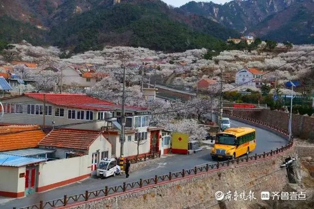 溫馨校車亮十年成績單：累計發(fā)送1210萬車次、2.7億人次